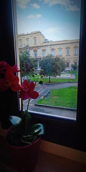 Apartament Dimora Cutelli Katania Zewnętrze zdjęcie